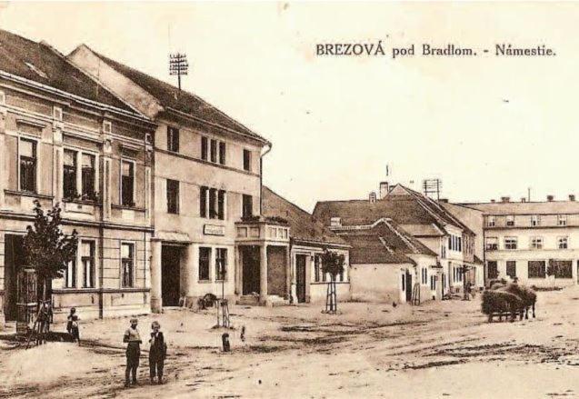 Penzion Tvarozek *** Brezova pod Bradlom Ngoại thất bức ảnh